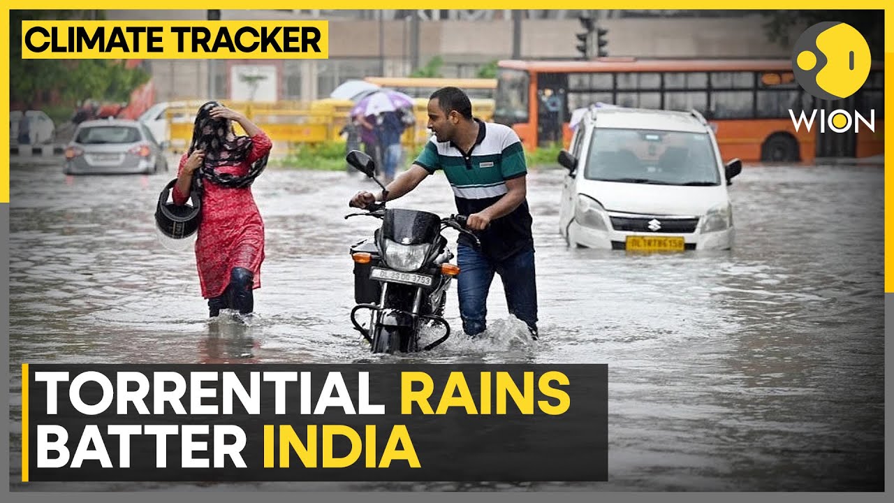 Heavy Rains Lash India, IMD Issues Alerts | WION CLIMATE TRACKER