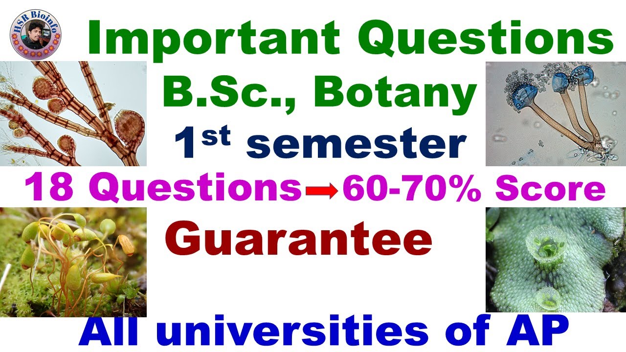 Important Questions of B.Sc., Botany-1st semester | All universities of AP| HSR Bioinfo