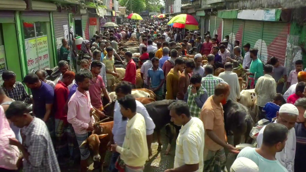 নরসিংদীর বেলাবর পোড়াদিয়া হাট || Narsingdi || Panorama Haat Bazar