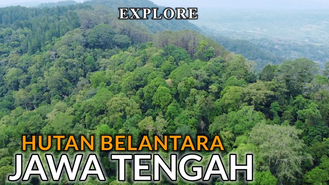PETUALANGAN EXTREME‼️DI HUTAN BELANTARA JAWA TENGAH