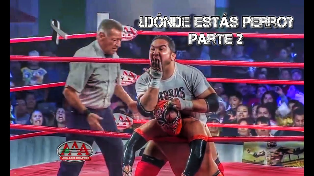 ¿Dónde Estás Perro? Parte 2