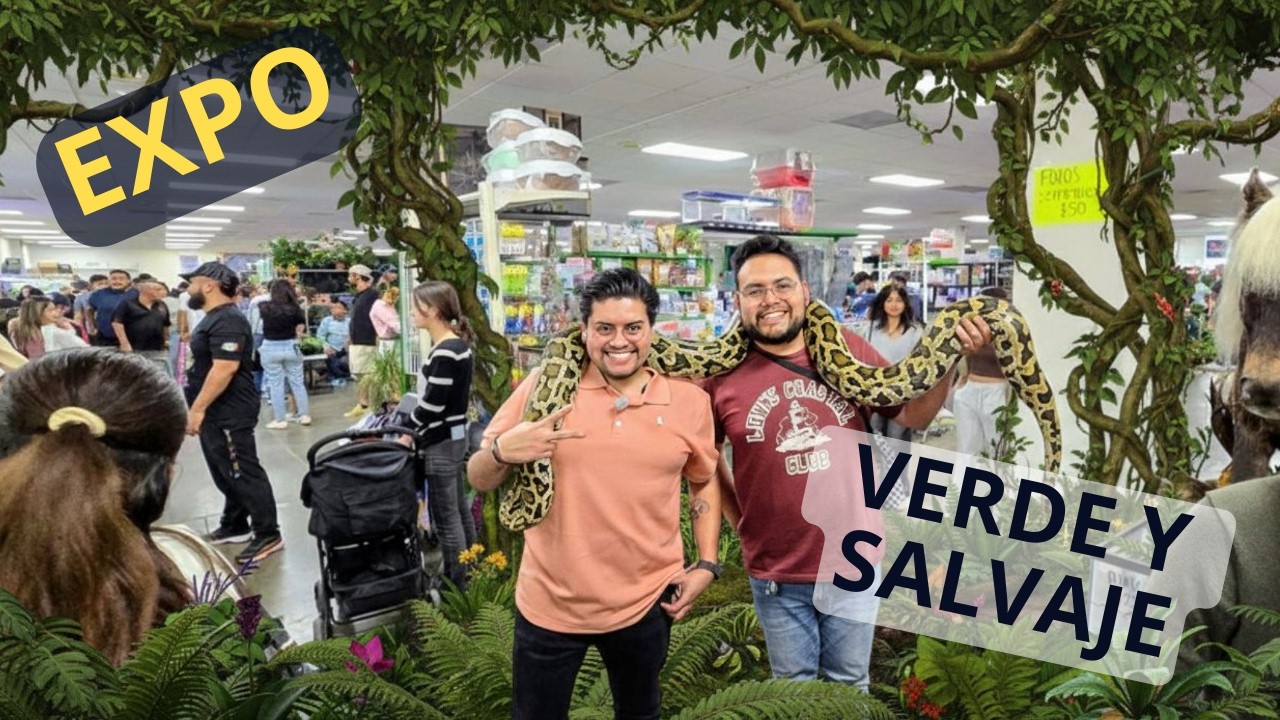 No Estába LISTO PARA ESTO… | Verde y Salvaje León | 2026