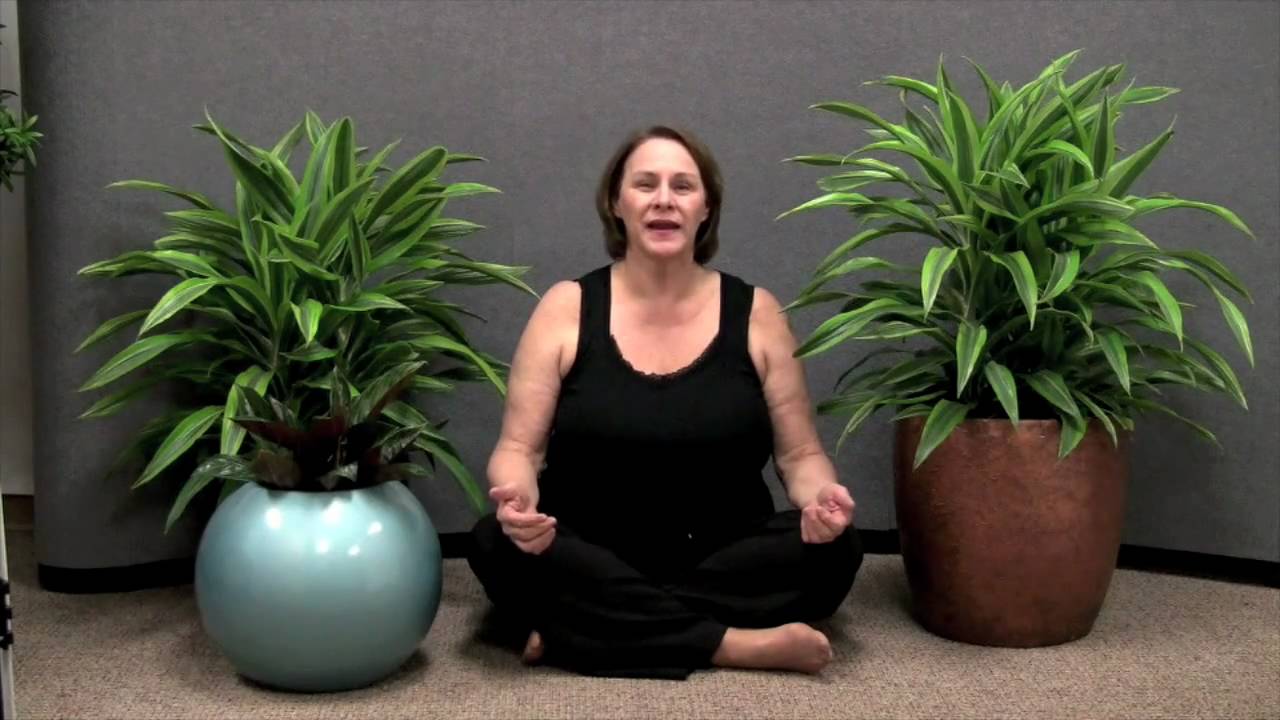 Prune this:  How to Meet Kathryn of Botanicus Interior Landscaping since 1971