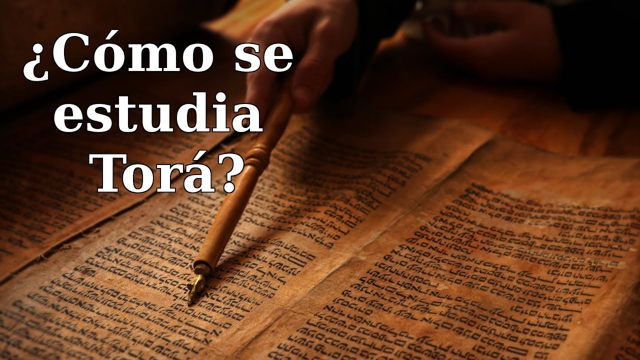 Q&A - &iquest;C&oacute;mo se estudia Tor&aacute;?