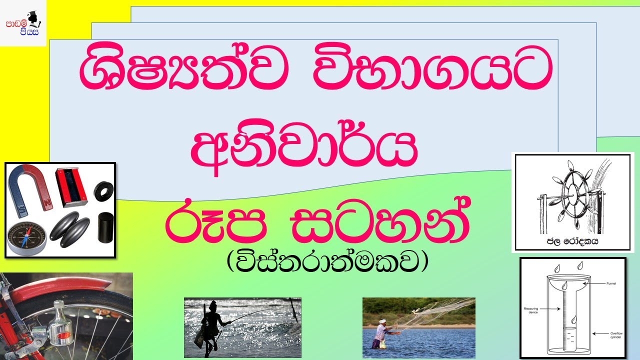 5 wasara shishshathwa|රූප ඇසුරෙන් ප්&zwj;රශ්නෝත්තර|5 shishshathwa padam|5 wasara parisaraya|padam piyasa