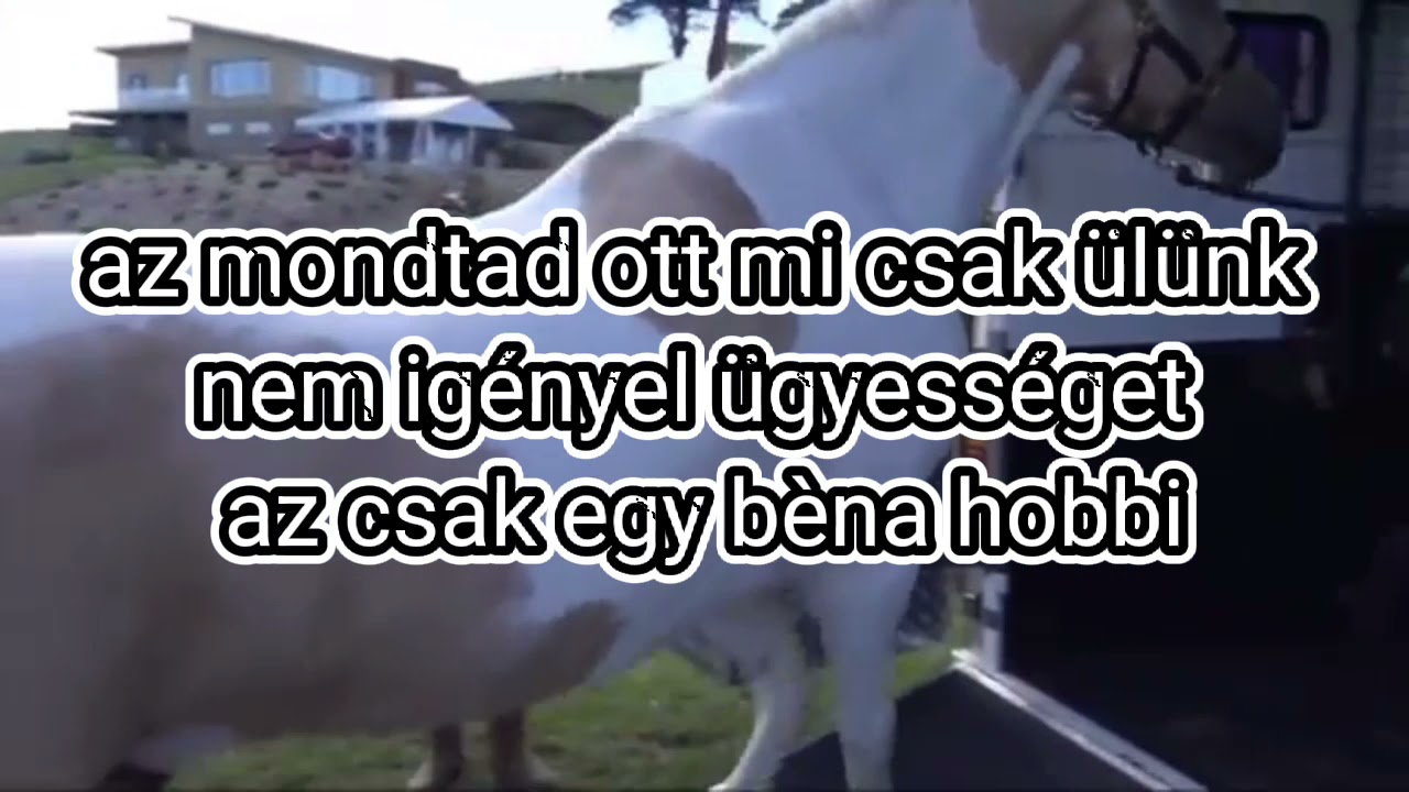 le&iacute;r&aacute;s!