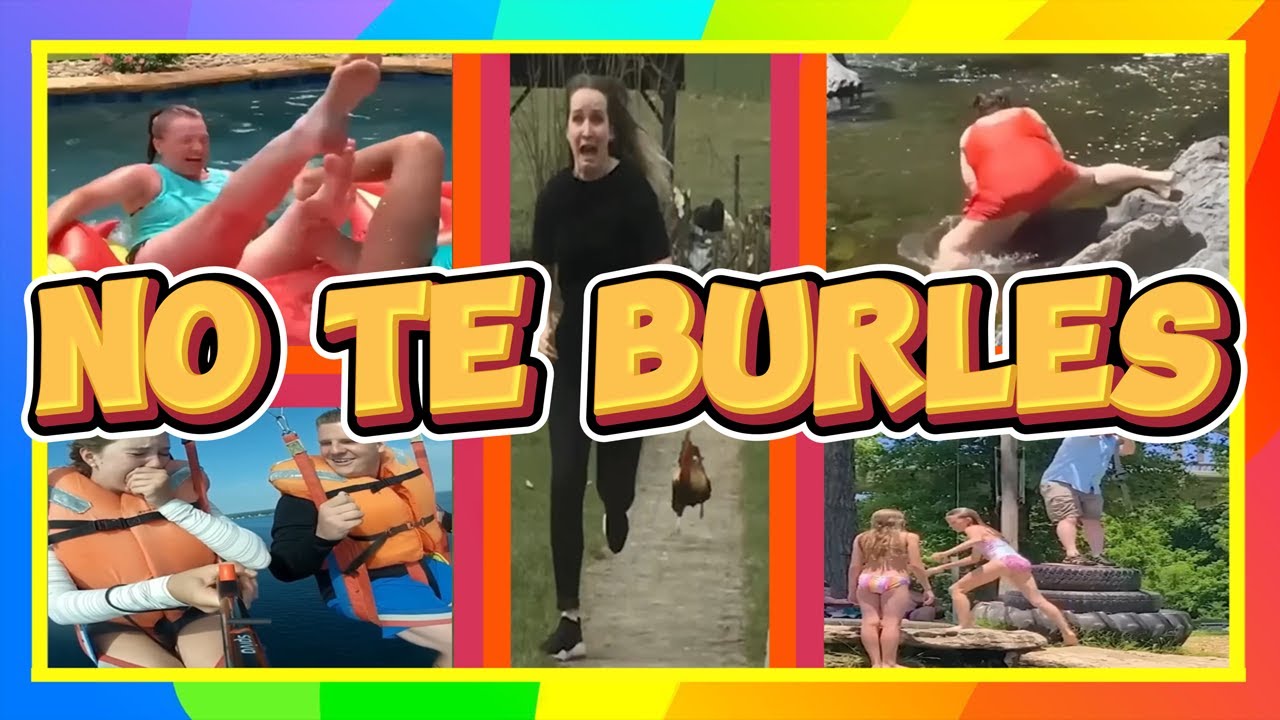 Intenta no reírte, son muy sensibles  💀🤣