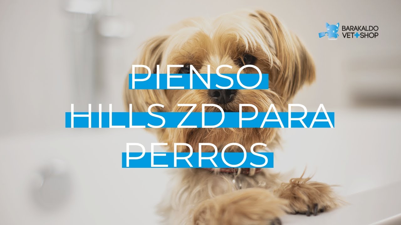 Pienso 【 HILLS ZD 】 de perros - Barakaldo Vet Shop
