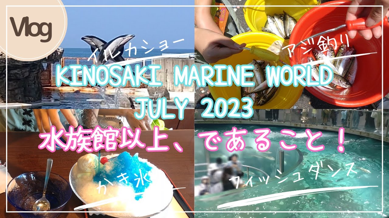 【城崎マリンワールド】VLOG　2023.7　「水族館以上、であること」アジ釣り、アジの天ぷら、イルカショー、足湯、夏休み、ファミリーでもデートでも楽しい、観光におすすめです♪