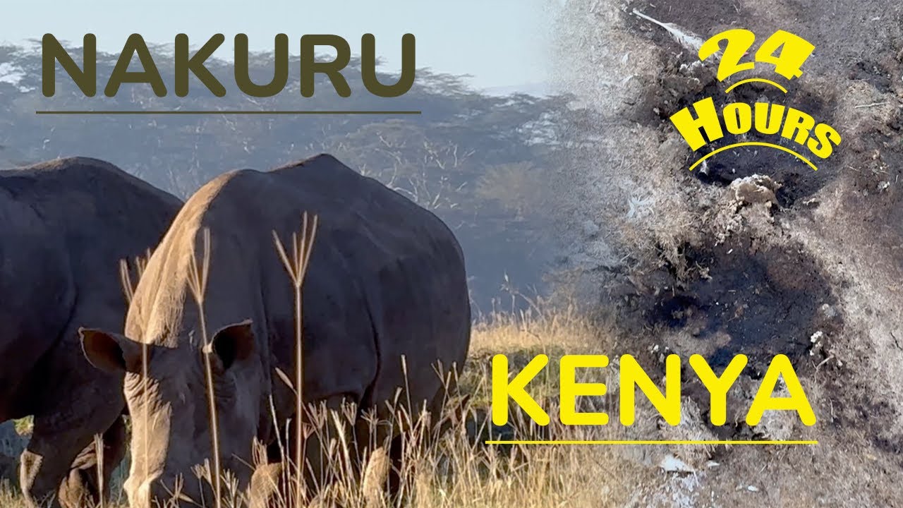 24Hours Challenge in Nakuru National Park in KENYA