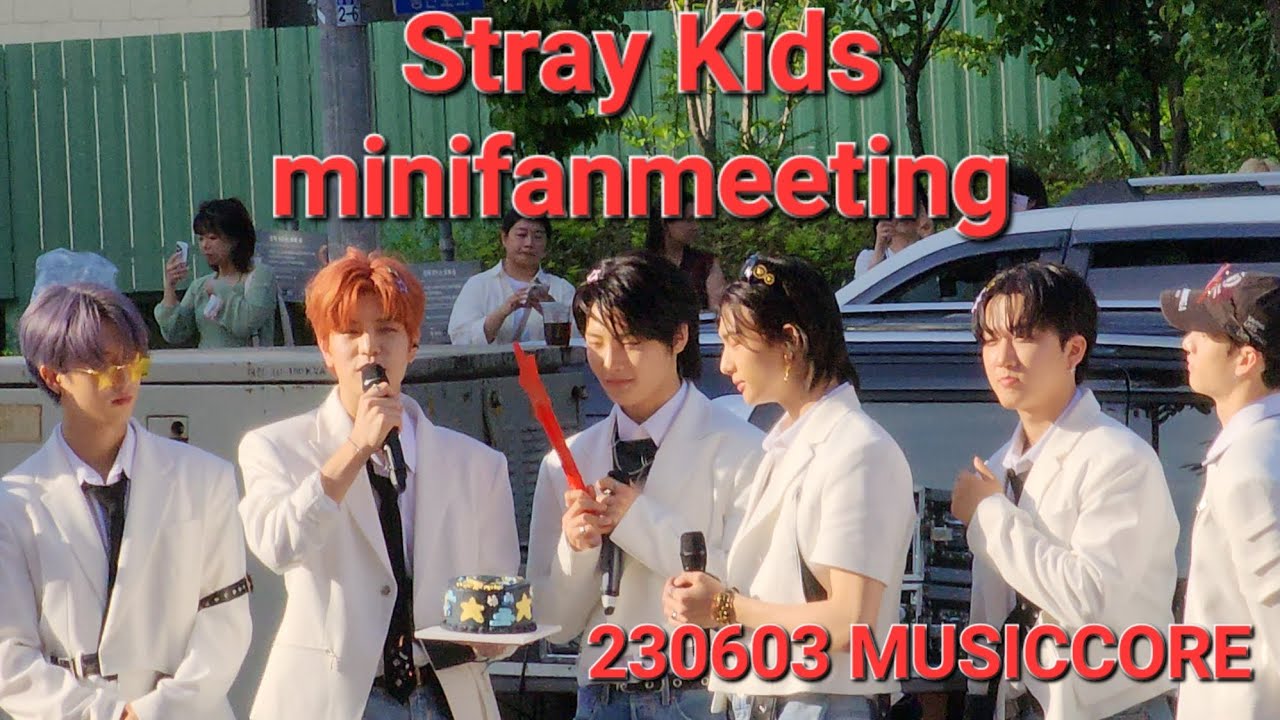 [fancam] SKZ 특 minifanmeeting 230603 MUSICCORE Stray Kids 스키즈 스트레이키즈