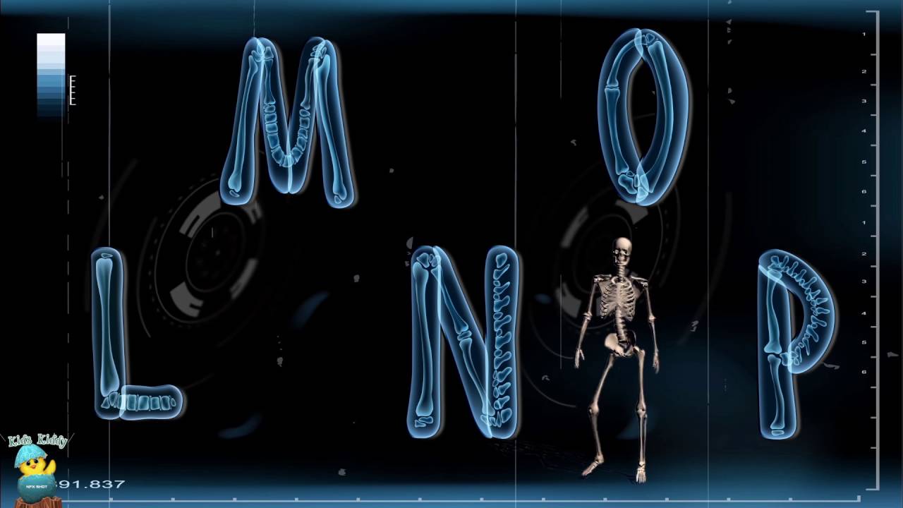 ABC Song  X ray Skeleton  A to Z for Children  2D Animation from KidsKiddy  NFS