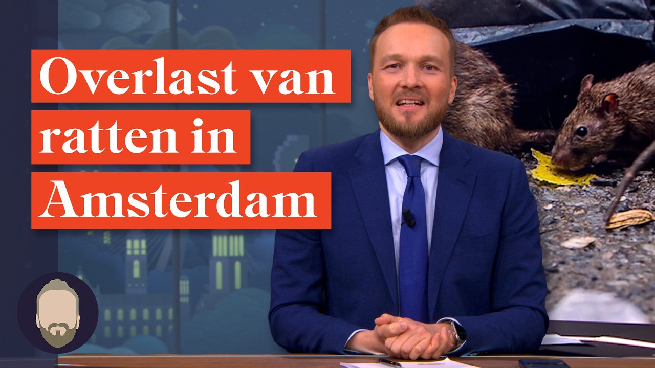 Waarom zijn er ineens veel meer ratten? | LUBACH