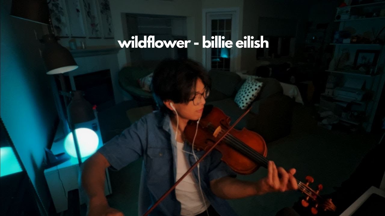 Wildflower - Billie Eilish - Violin Cover