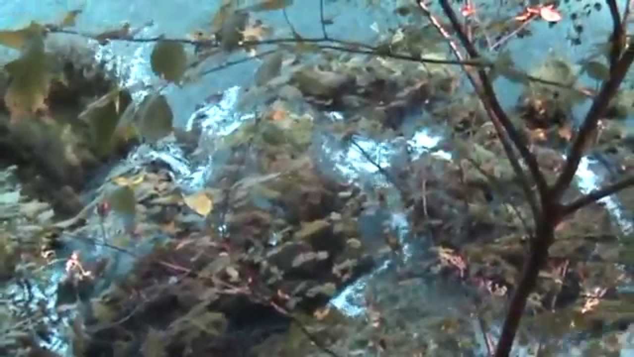 Perućac, reka Vrelo,  Drina