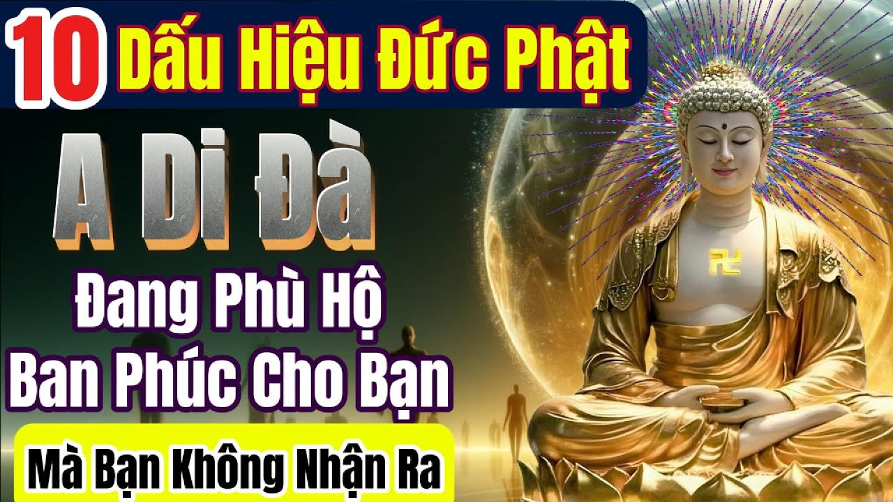 10 dấu hiệu Đức Phật A Di Đà đang phù hộ, ban phúc cho bạn | Nhân Quả Phật Pháp