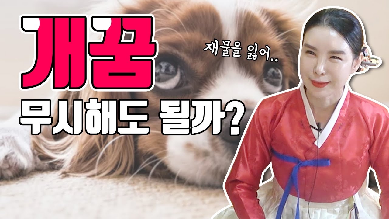개꿈 신경쓰지 말아야 할까요 ? 개에게 물리는꿈, 개가 똥싸는 꿈, 검은개 꿈, 키우던 개 꿈