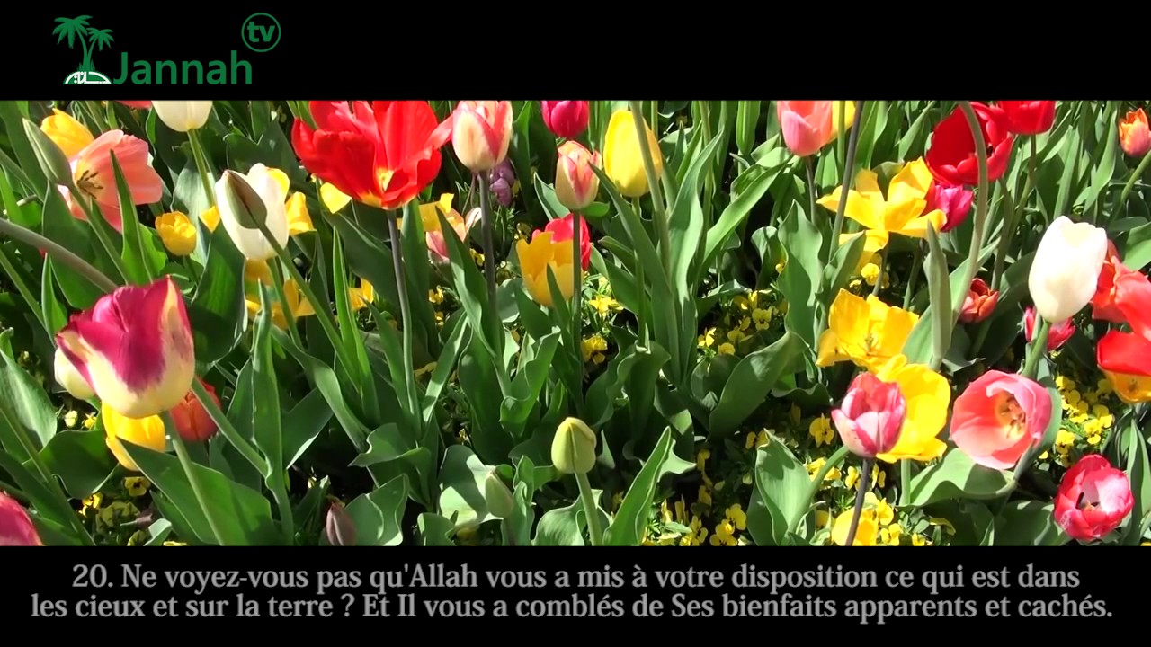 DOUCE RÉCITATION SOURATE LUQMAN