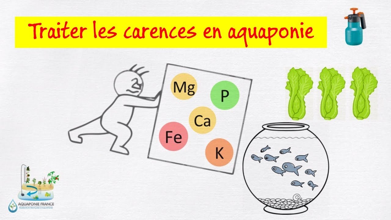 📉 Traiter les carences en aquaponie