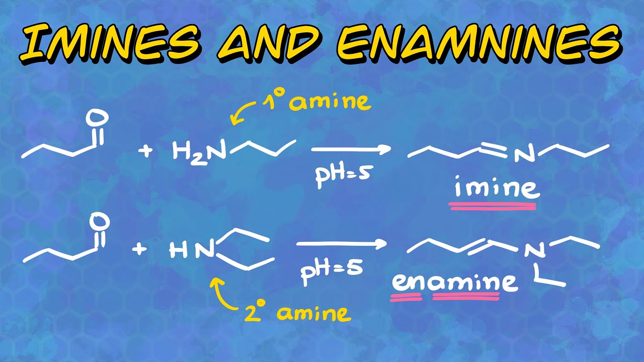 Imines and Enamines: Formation and Mechanism