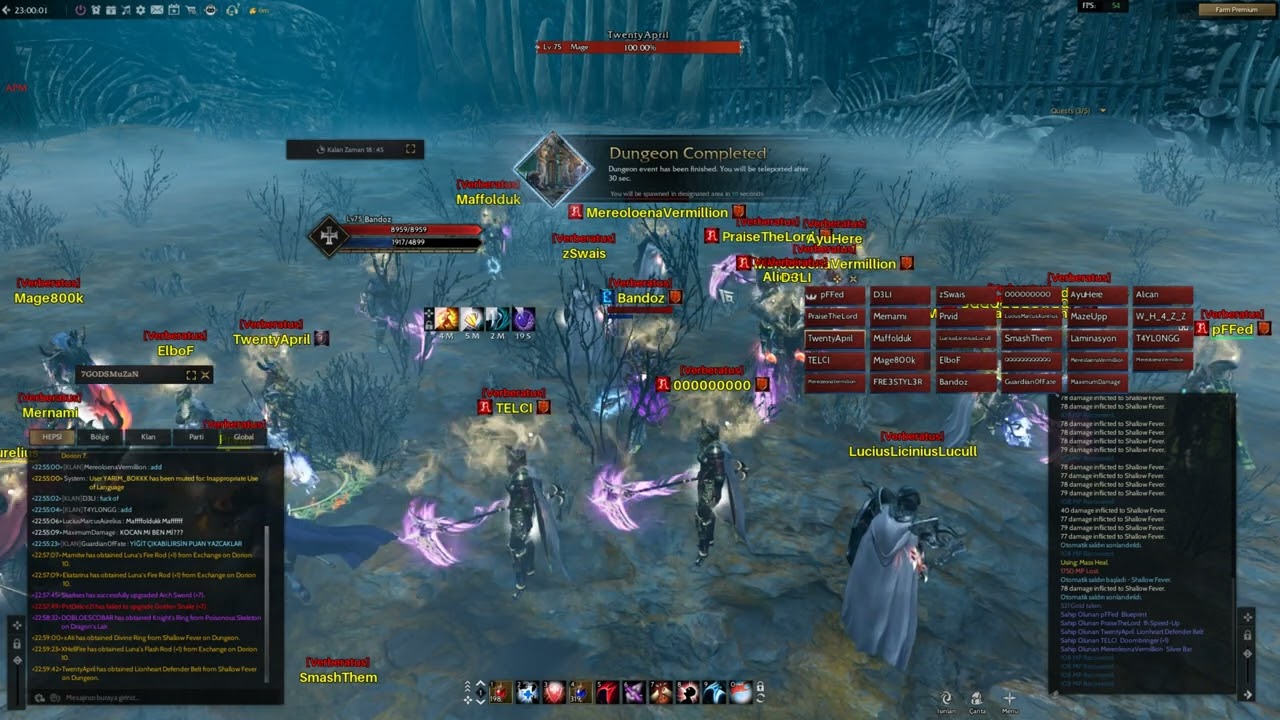 Rise Online Drop Lionheart Defender Belt #Riseonlineworld