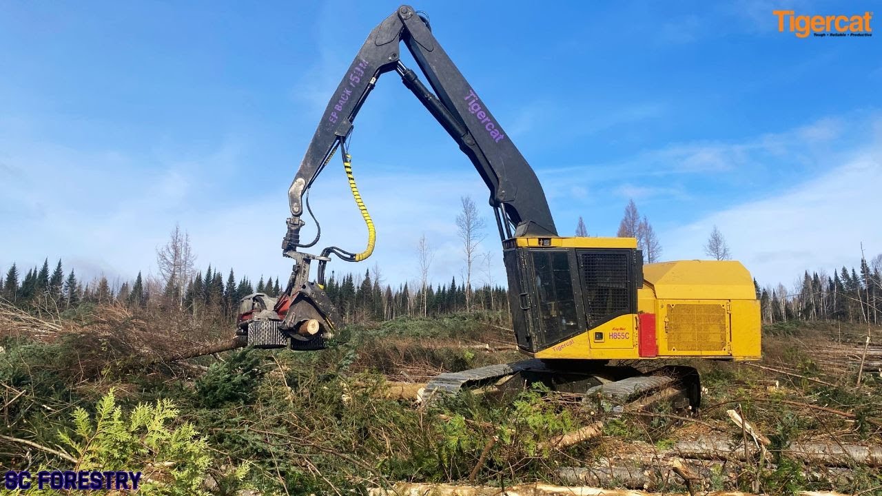 Tigercat 855C with LogMax 7000 following Buncher in Softwood