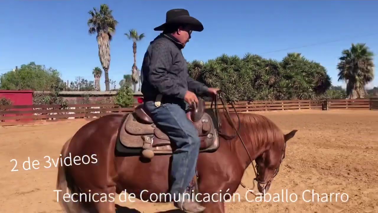 Video 2