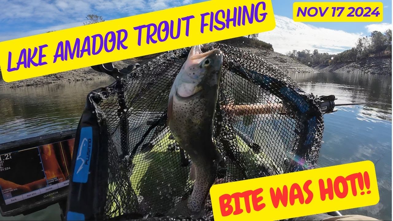 Lake Amador Trout Fishing Bite Was Hot!!!