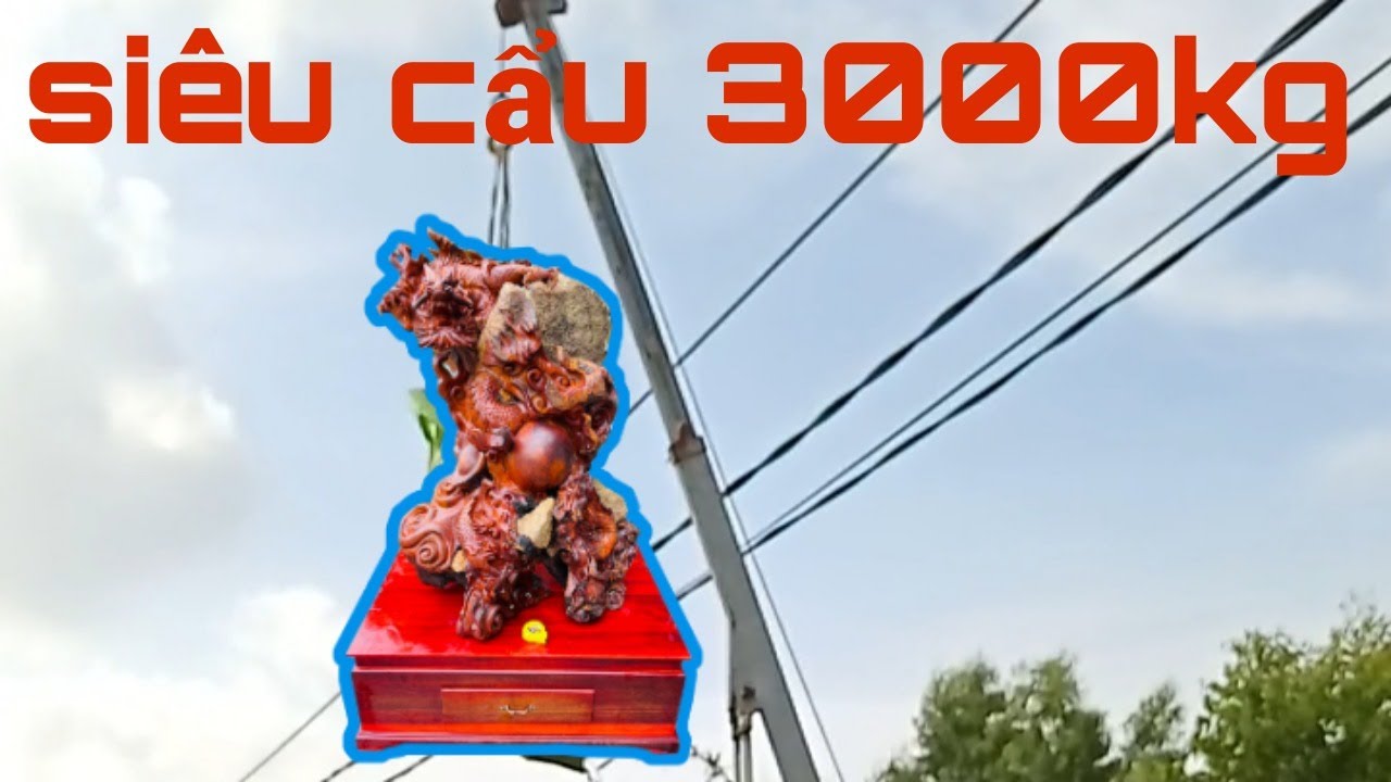 cẩu tự chế siêu khỏe