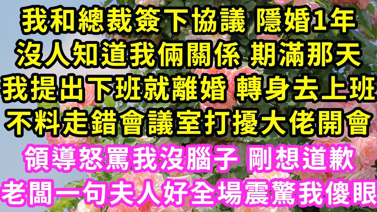 我和總裁簽下協議 隱婚1年，沒人知道我倆關係 期滿那天，我提出下班就離婚 轉身去上班，不料走錯會議室打擾大佬開會，領導怒罵我沒腦子 剛想道歉，老闆一句夫人好全場震驚我傻眼#甜寵#灰姑娘#霸道總裁#愛情