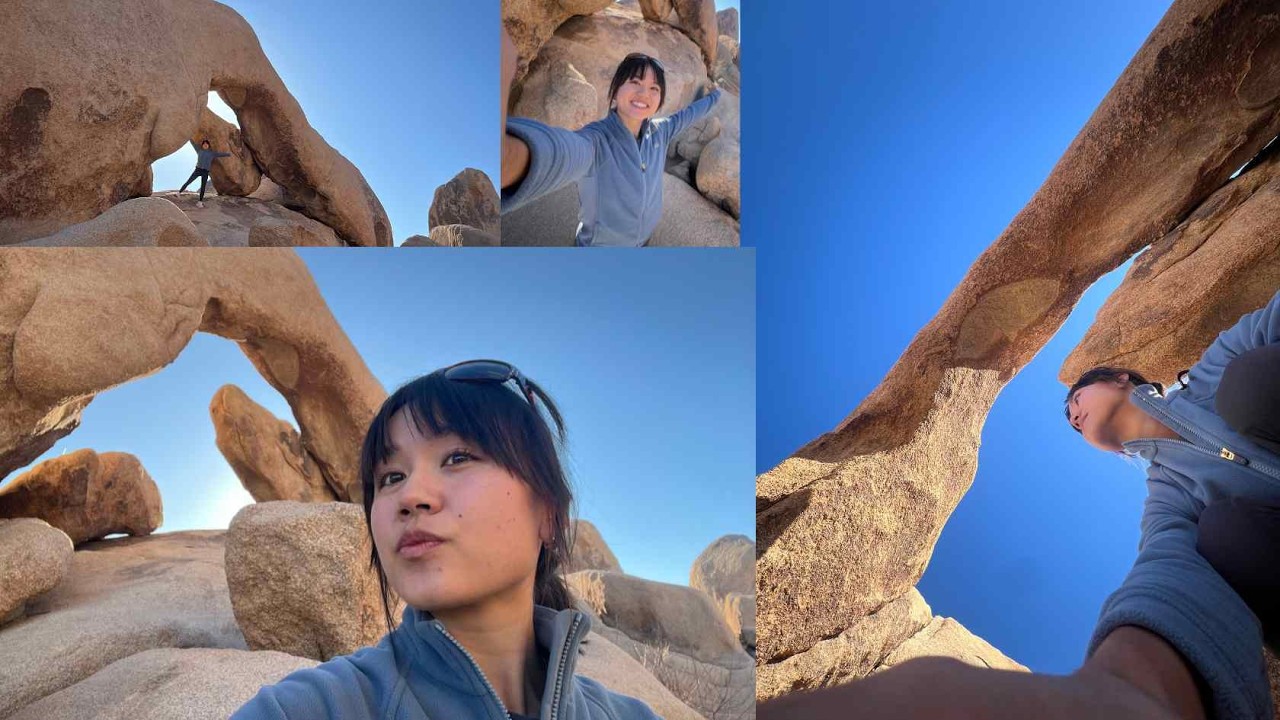 i went into the wild... to joshua tree