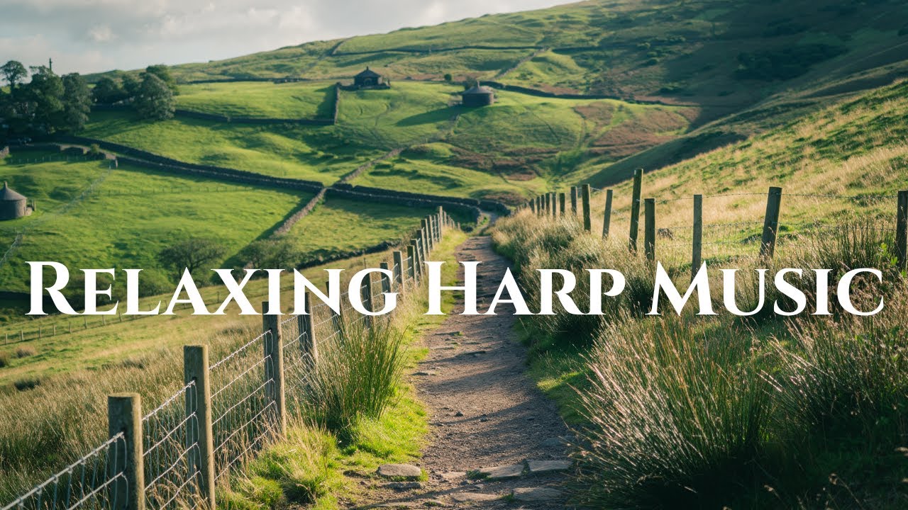 Relaxing Harp Music for Focus & Dreaming | 🌿 The Quiet Harp Path