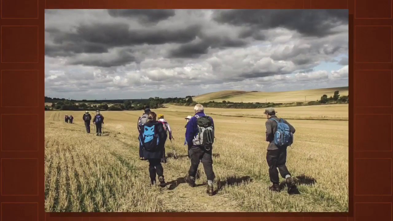 The Hertfordshire Way: A Walker's Guide