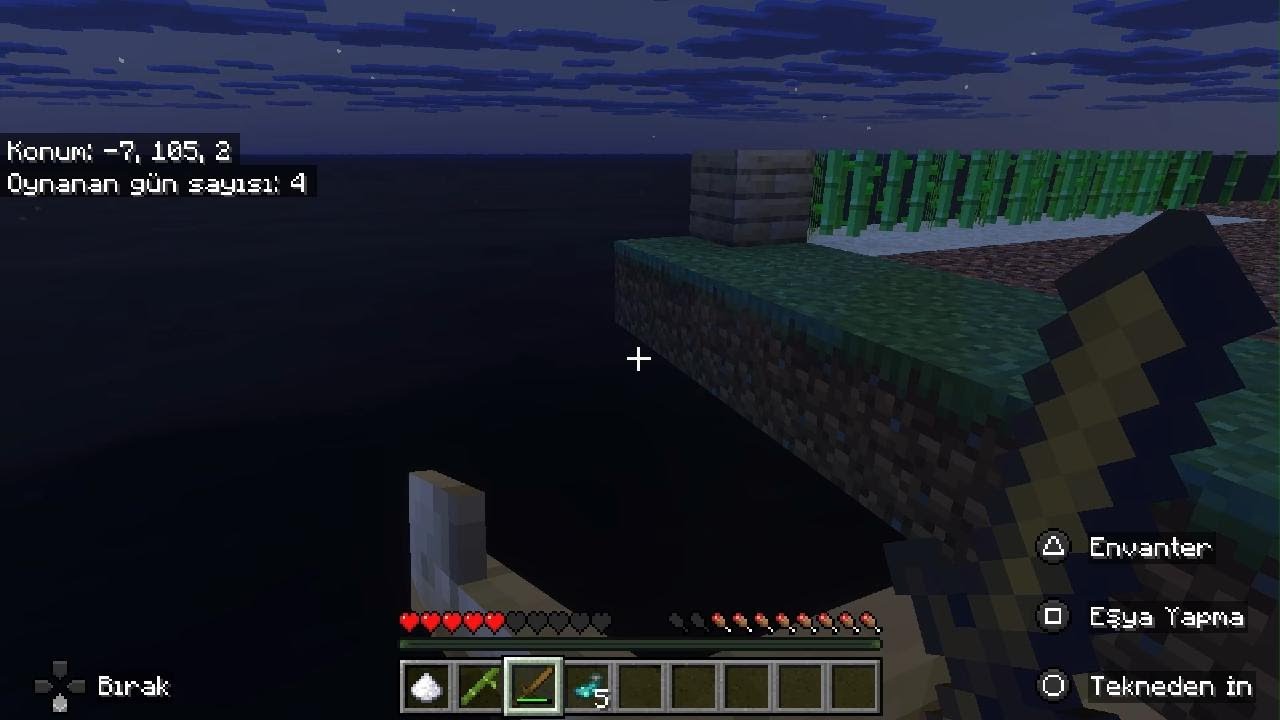 Minecraft ada hayatta kalma