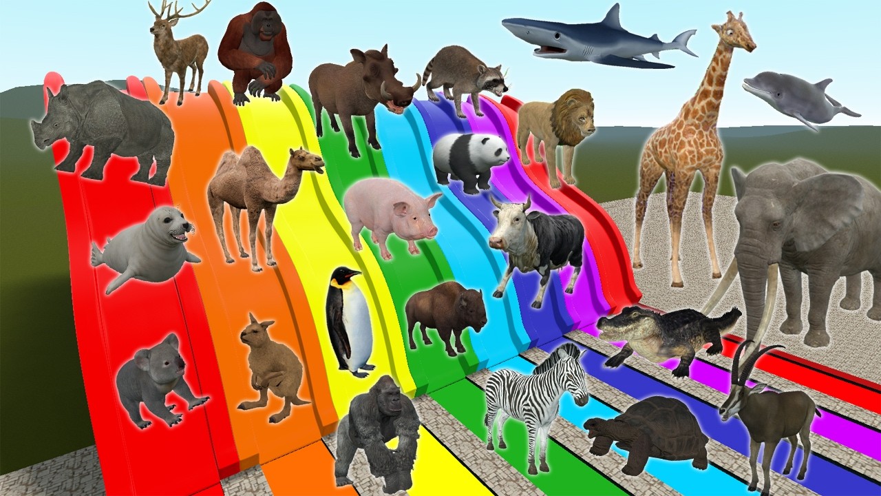 ALL Animals on a GIANT Rainbow Slide?! in Garry&rsquo;s Mod !