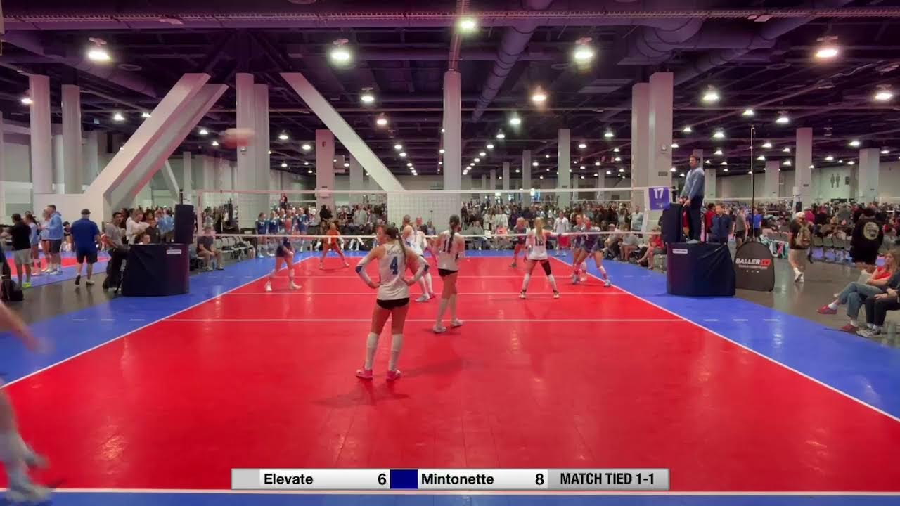 Elevate Vs Mintonette