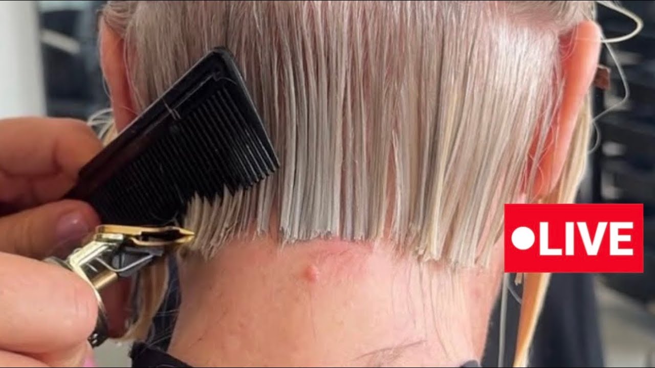 STUNNING Haircuts by Vivyan Hair Design! 💜✨🤩 #haircut #hairstyle #shorthair #longhair #hairtutorial