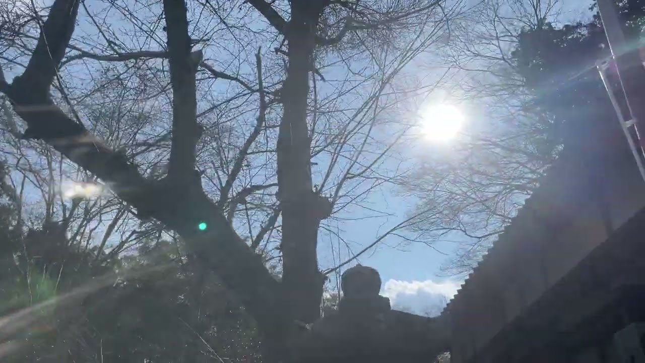 2026/2/2 射手神社（伊賀市）