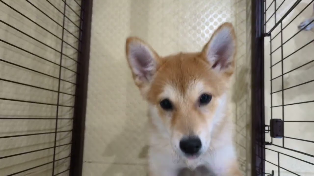 2026.01.11 トレーニング