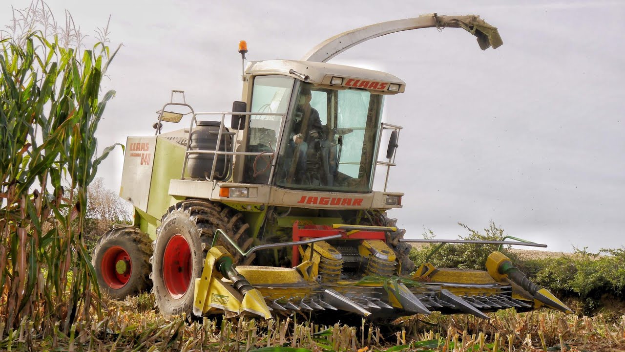 ☆ Kiszonka 2020 ☆ Claas Jaguar 840 ☆ 2x John Deere ☆ Kubota ☆ Świętokrzyskie ☆