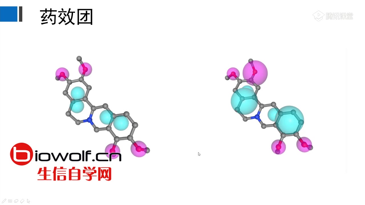 网络药理学/药效团靶点预测  1、网络药理学简介