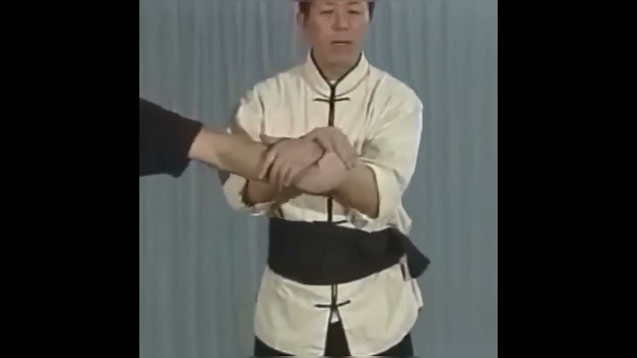 KUNG FU 🐉 TÉCNICA DE CHIN NA 🐉