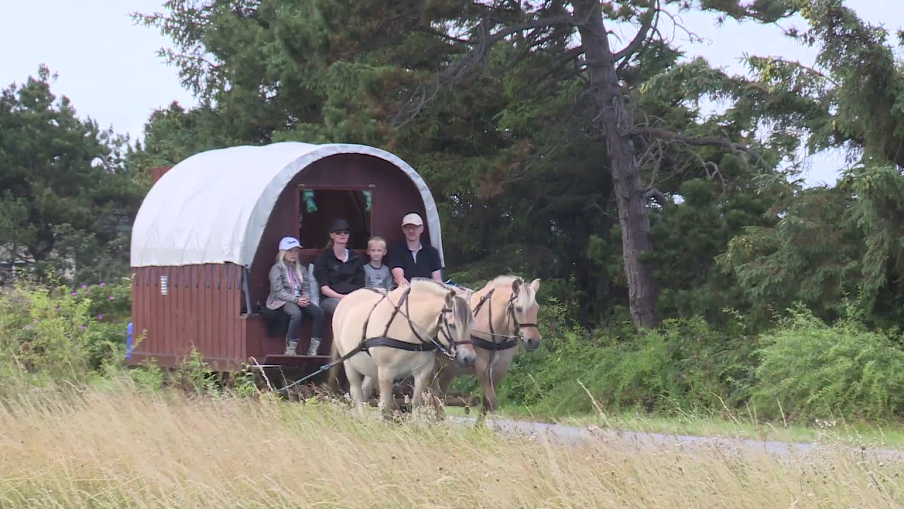 Anne-Vibeke Rejser, Samsø - ankomst til den herlige ø - midt i Danmark