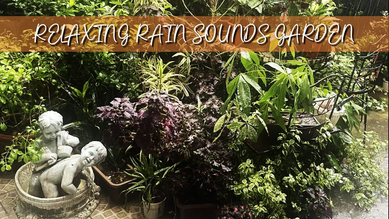 RELAXING RAIN SOUNDS GARDEN VIEW PHILIPPINES