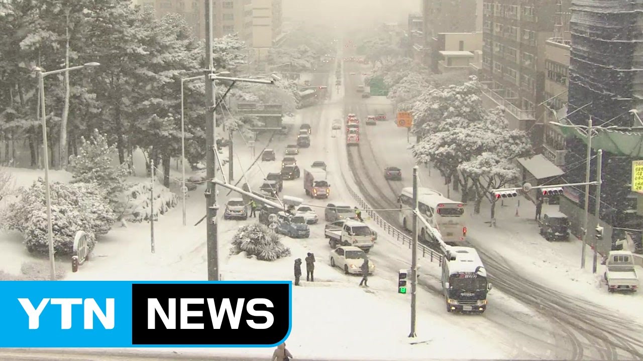 예보는 1cm 였는데...실제는 '폭설' 온 제주 / YTN