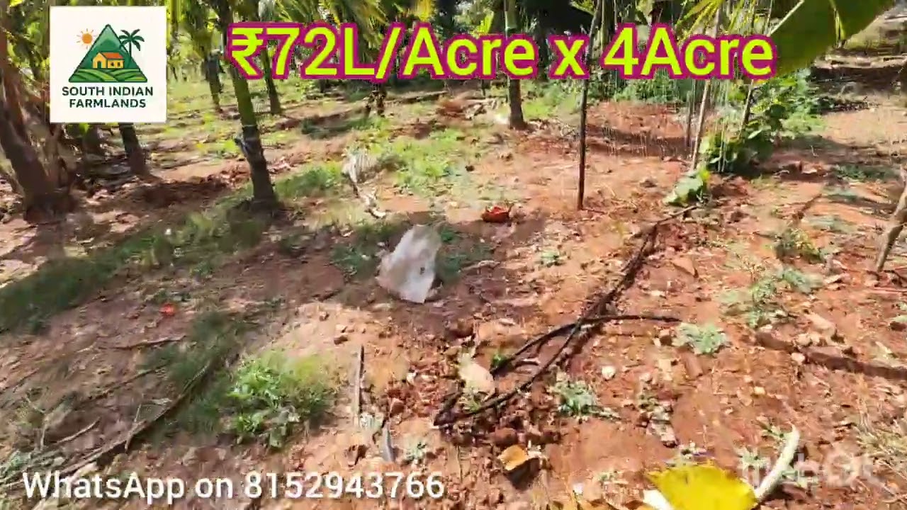 4Acres of  coconut areca  farmland for sale Near Malavalli at ₹1.80L/Gunta farmhouse,  on 8152943766