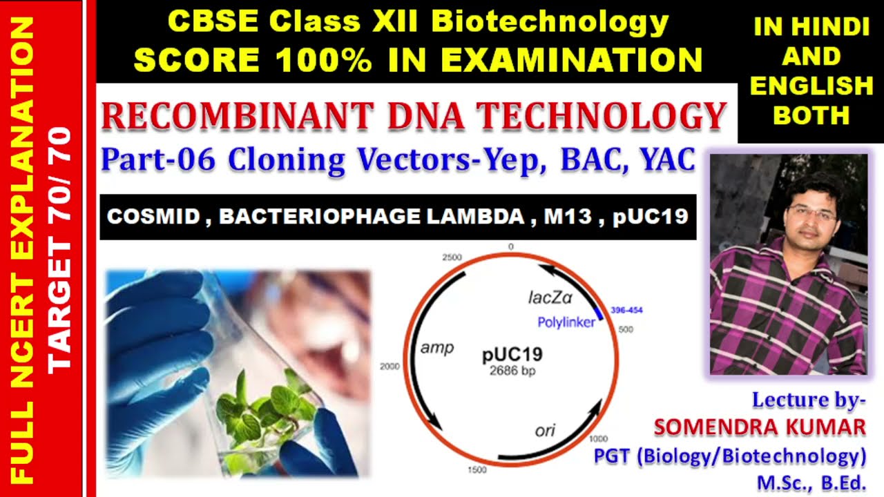 Recombinant DNA Technology | Part 06 | Cloning Vectors Yep, pUC19, Bacteriophage Lambda, M13 etc.
