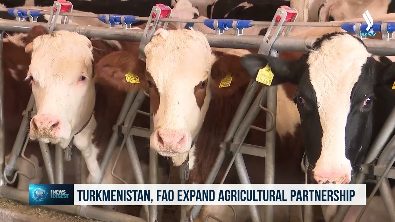 Туркменистан и FAO расширяют партнерство в сфере сельского хозяйства