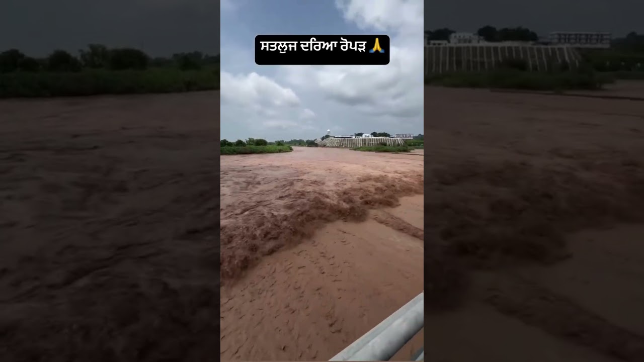 #satlujriver #ropar #punjab #rupnagar #kulwindersinghvideos@Kulgirn_saini #youtubeshorts#viral