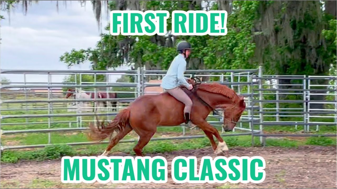 FIRST RIDE ON MY MUSTANG! | Mustang Classic 15